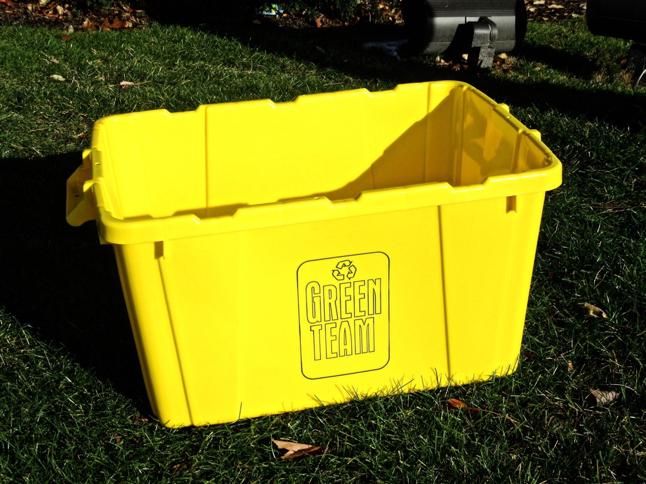 Green Team recycle bin